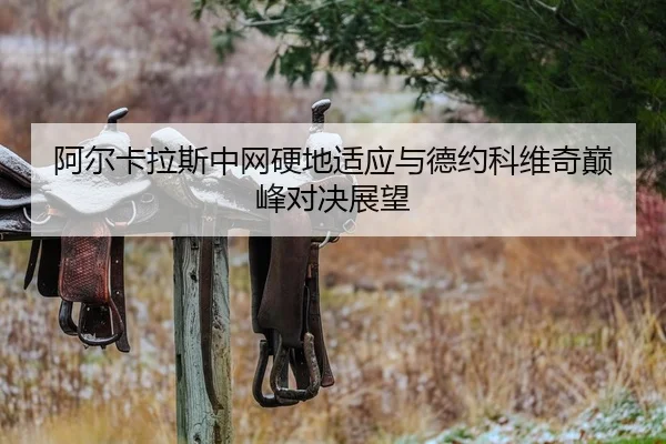 a-er-ka-la-si-zhong-wang-ying-di-shi-ying-yu-de-yue-ke-wei-qi-dian-feng-dui-jue-zhan-wang-2-879.jpg