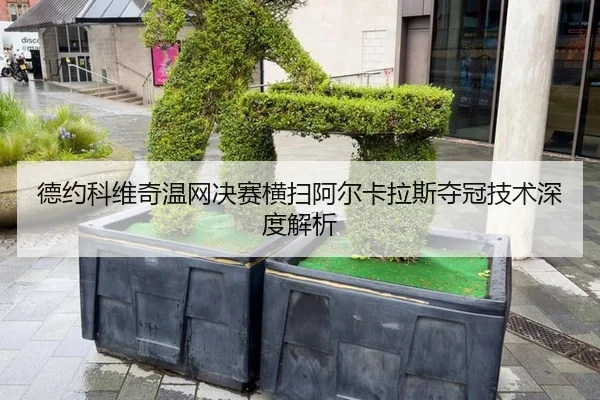 de-yue-ke-wei-qi-wen-wang-jue-sai-heng-sao-a-er-ka-la-si-duo-guan-ji-shu-shen-du-jie-xi-2-722.jpg
