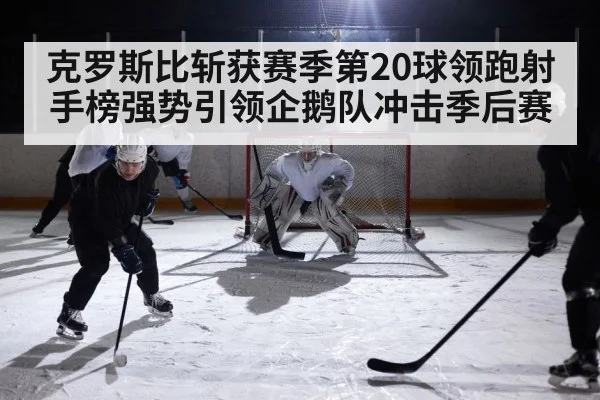 克罗斯比斩获赛季第20球领跑射手榜强势引领企鹅队冲击季后赛